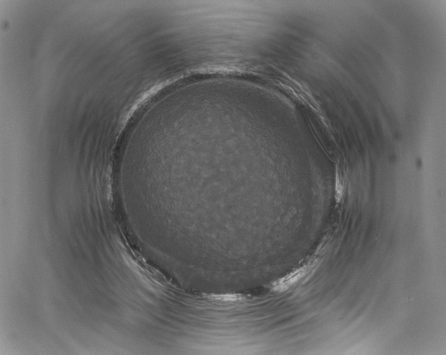 X0000061760204200512021518