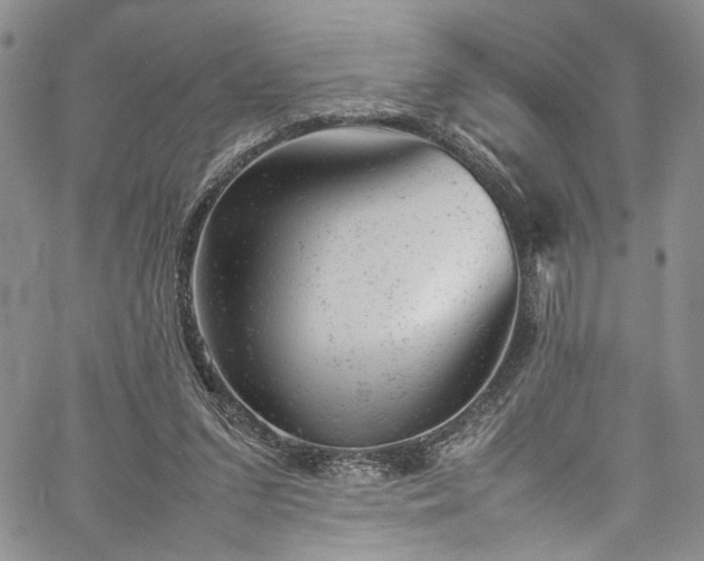 X0000061760207200512021518