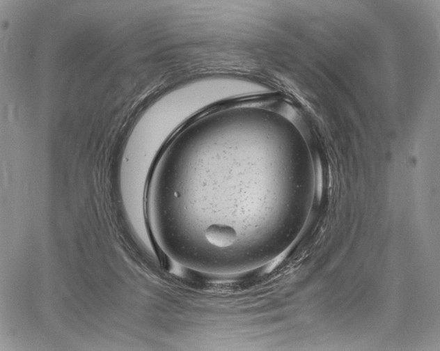 X0000061760211200512021518