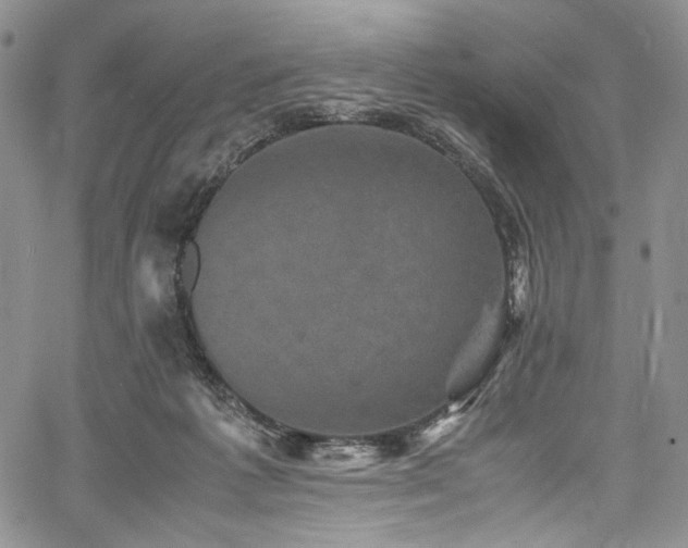X0000061760221200512021518