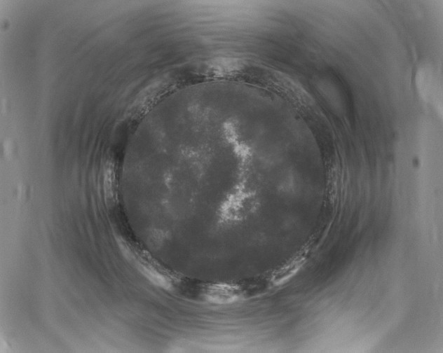 X0000061760222200512021518
