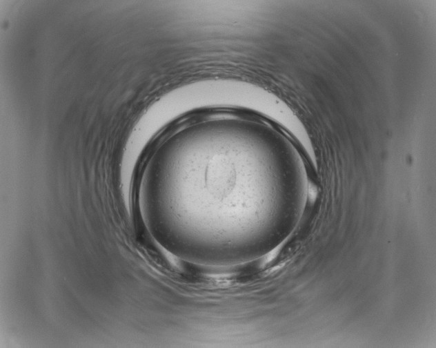 X0000061760227200512021518