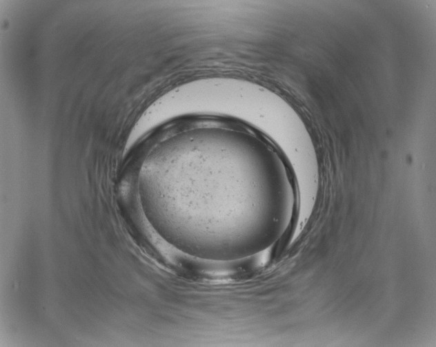 X0000061760233200512021518