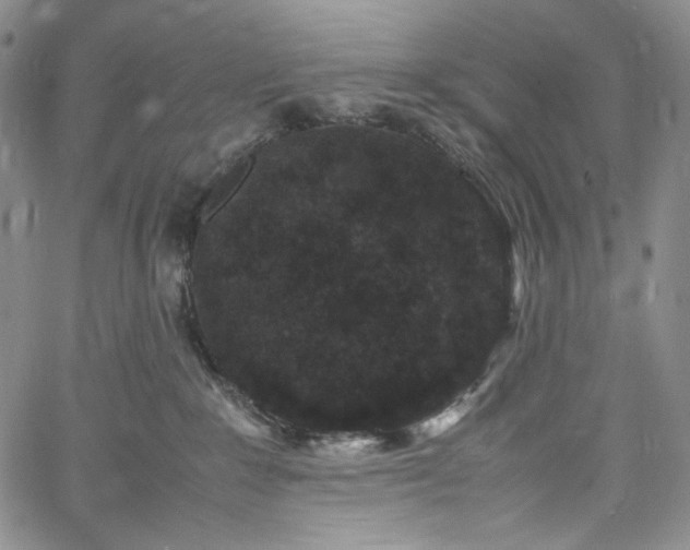 X0000061760235200512021518