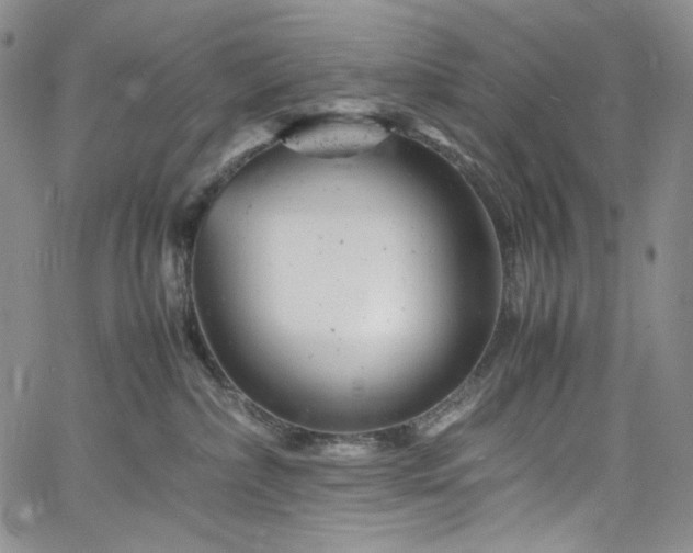 X0000061760236200512021518