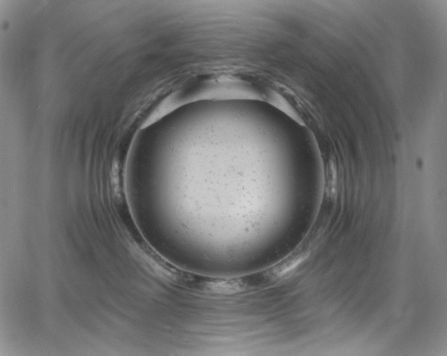 X0000061760238200512021518