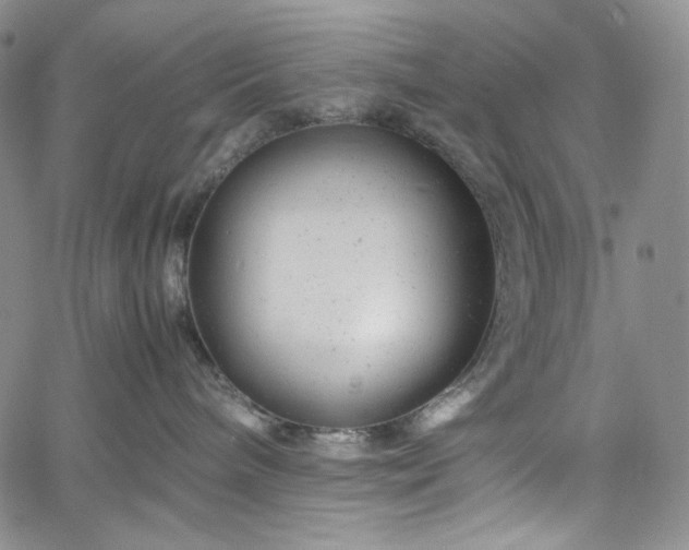 X0000061760240200512021517
