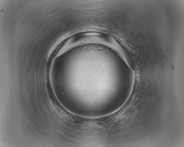 X0000061760244200512021517