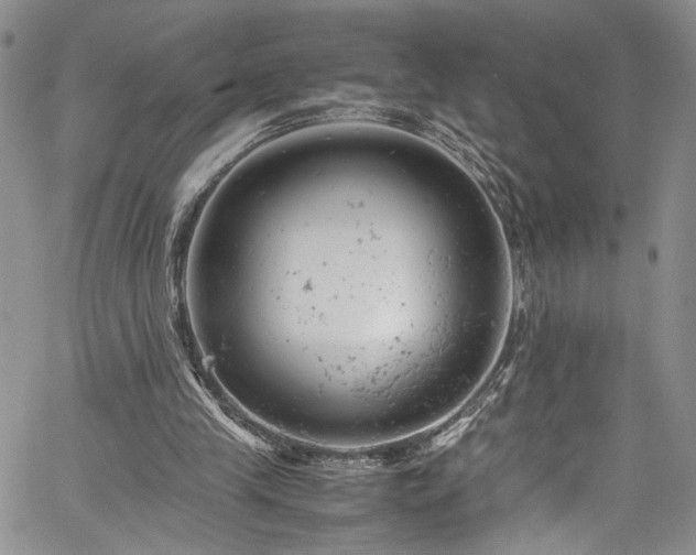 X0000061760245200512021517