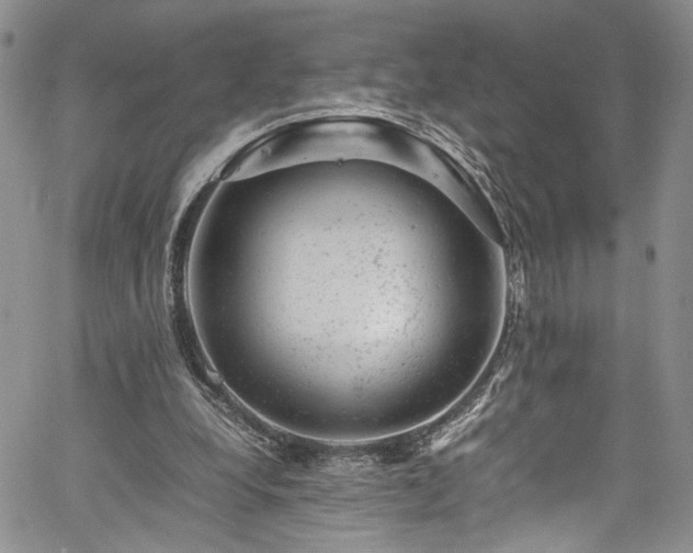 X0000061760248200512021517