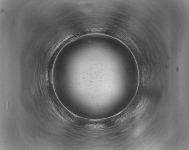X0000061760251200512021517
