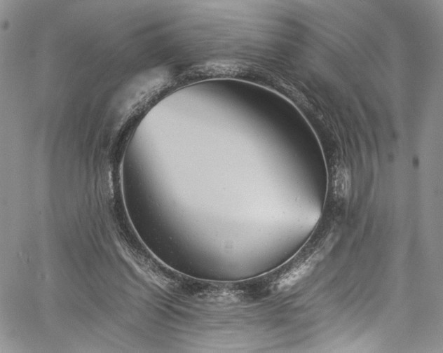X0000061760254200512021517
