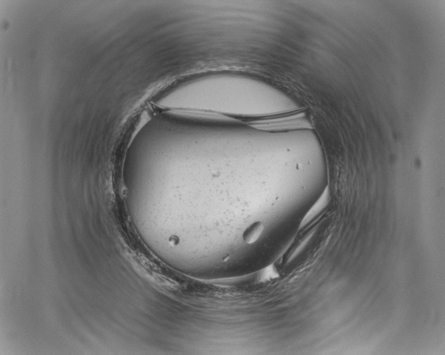 X0000061760256200512021517