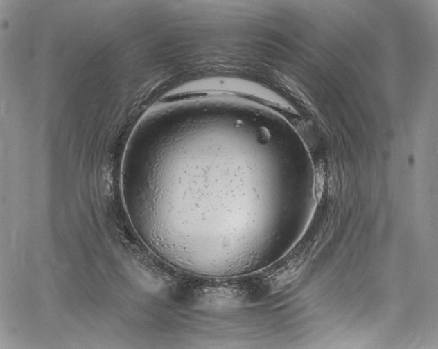X0000061760259200512021517