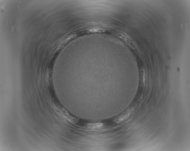 X0000061760266200512021517