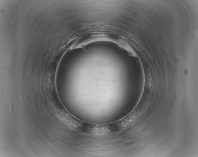 X0000061760270200512021517