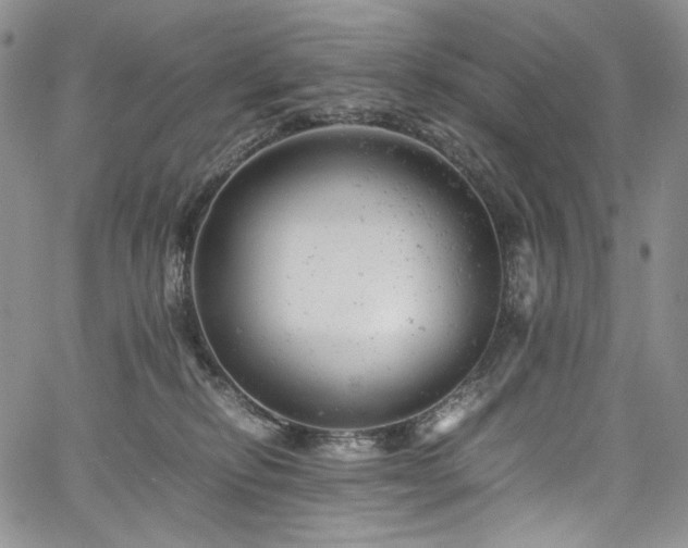 X0000061760278200512021517