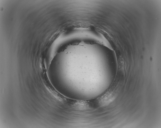 X0000061760280200512021517