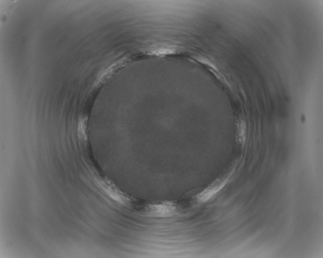 X0000061760286200512021517