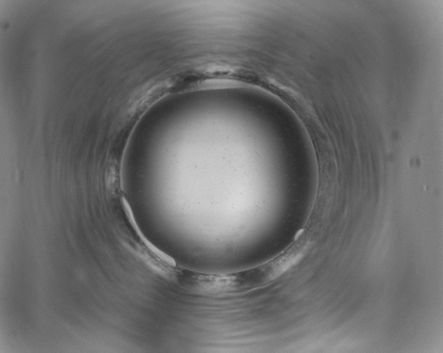 X0000061760288200512021517