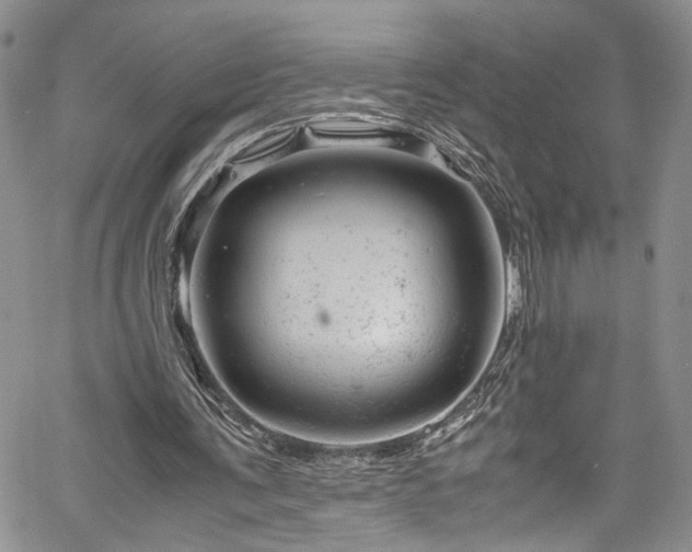 X0000061760291200512021517