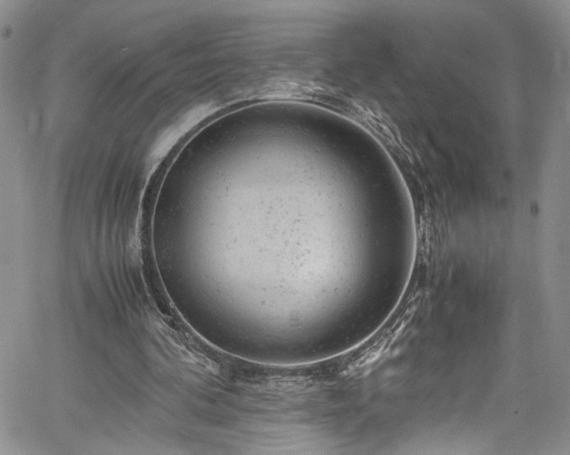 X0000061760292200512021517