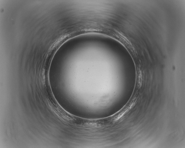 X0000061760298200512021517