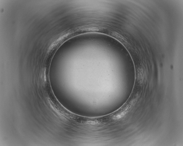 X0000061760302200512021516