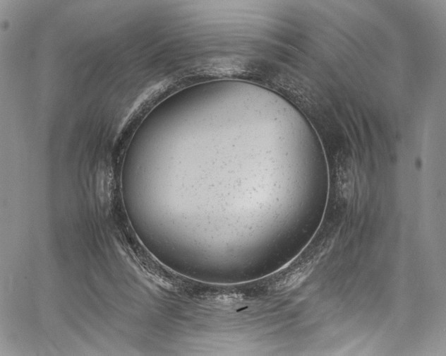 X0000061760304200512021516
