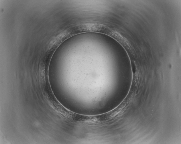X0000061760306200512021516