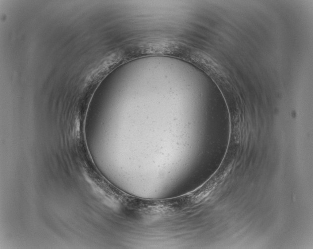 X0000061760310200512021516