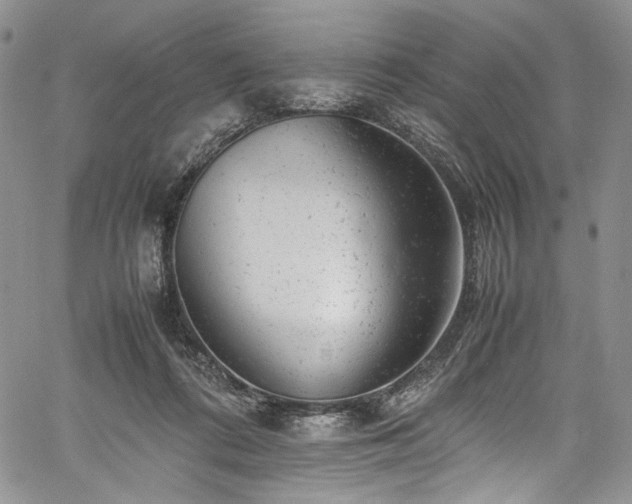 X0000061760312200512021516