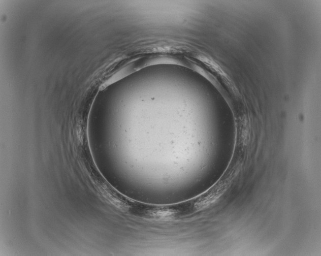 X0000061760313200512021516