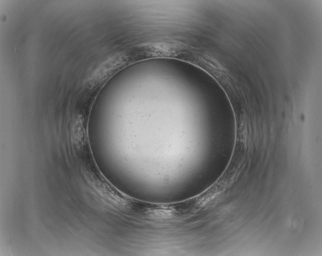 X0000061760318200512021516