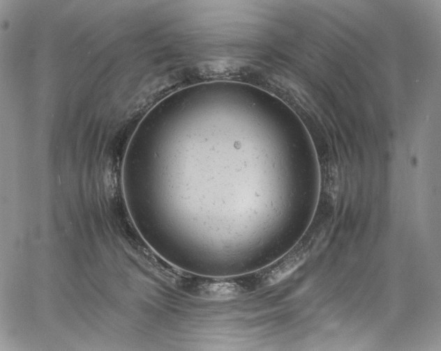 X0000061760324200512021516