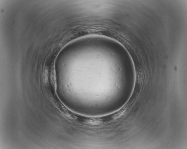 X0000061760327200512021516