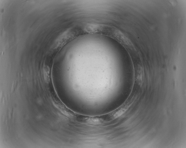 X0000061760332200512021516