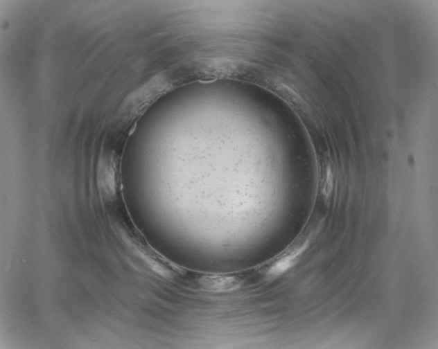 X0000061760334200512021516