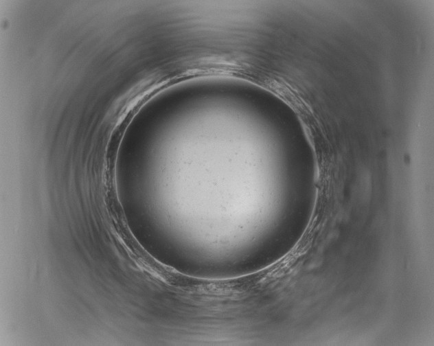 X0000061760338200512021515