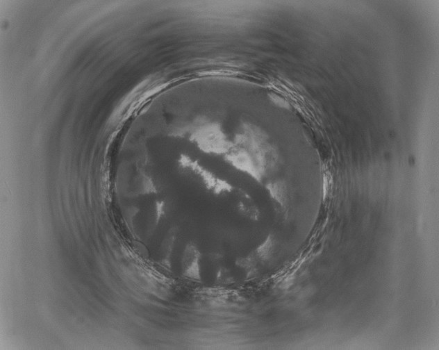 X0000061760339200512021515