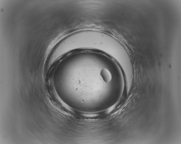 X0000061760344200512021515