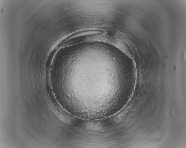 X0000061760346200512021515