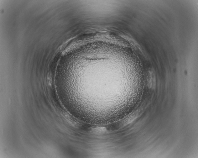 X0000061760374200512021516