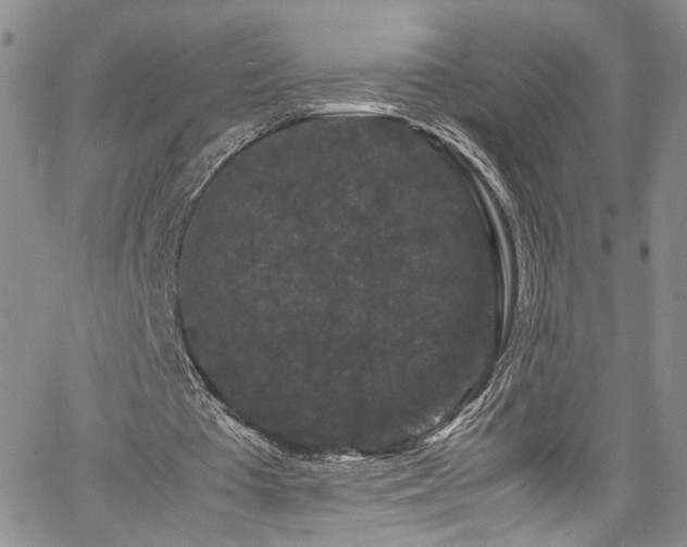 X0000061760385200512021515