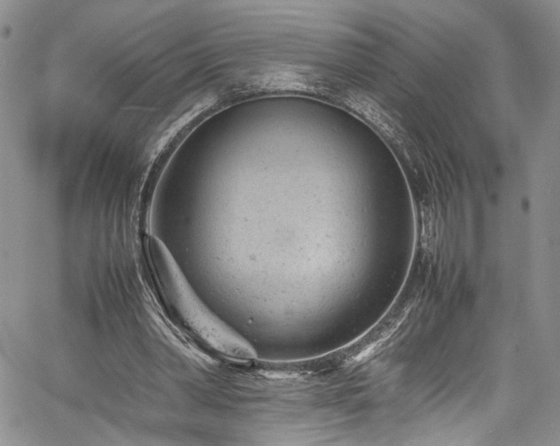 X0000061760390200512021515