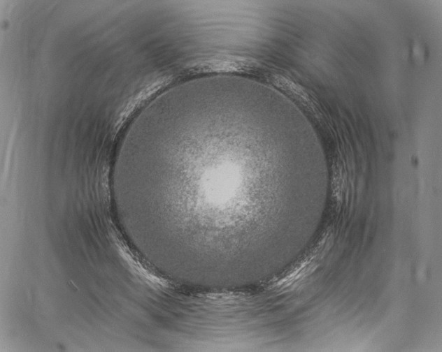 X0000061760394200512021515