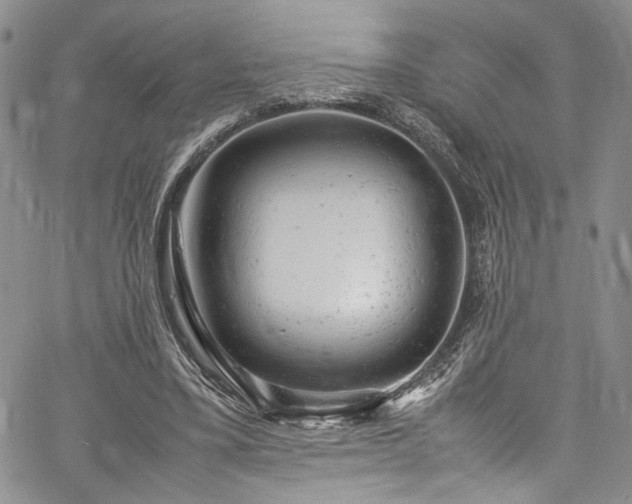 X0000061760395200512021515