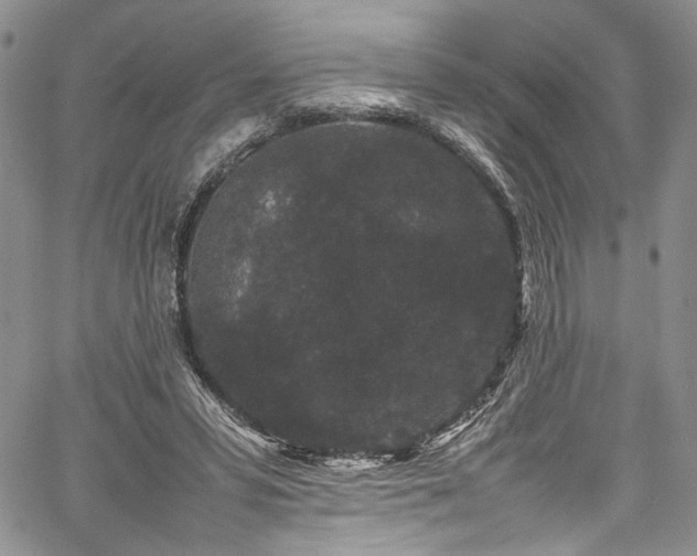 X0000061760399200512021515