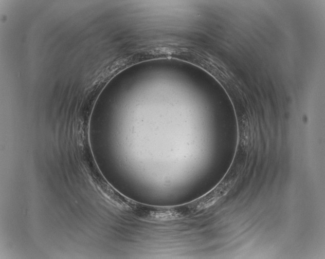X0000061760414200512021515