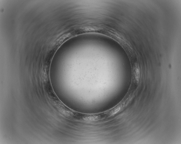 X0000061760422200512021514